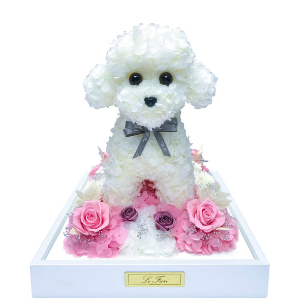 Preserved Rose Baby Milky White Poodle