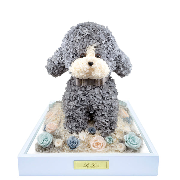 Preserved Rose Poodle - Gray