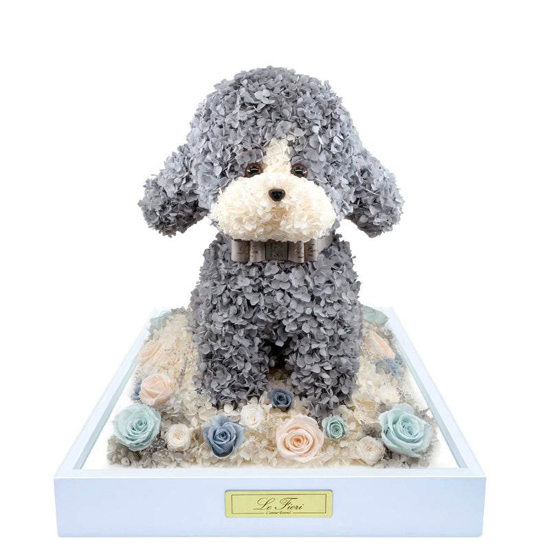 Preserved Rose Poodle - Gray