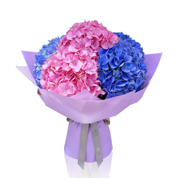 Fresh Flower Bouquet - Blue and Pink Hydrangea - Le Fiori